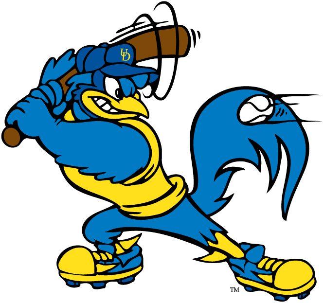 Delaware Blue Hens 1993-Pres Mascot Logo t shirts DIY iron ons v8